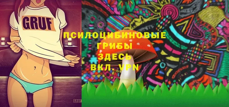 Галлюциногенные грибы Cubensis  площадка клад  Саранск 